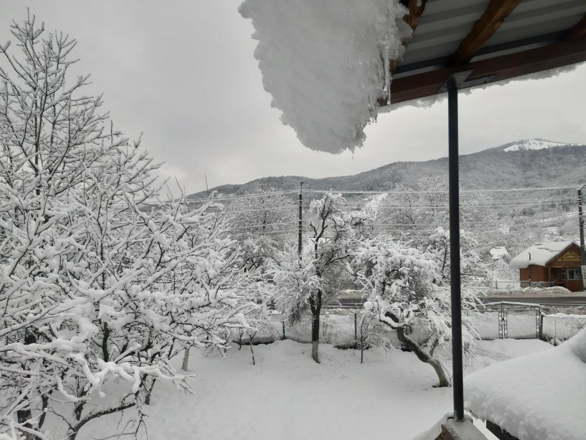 Barlig Apartamento Yaremche Exterior foto
