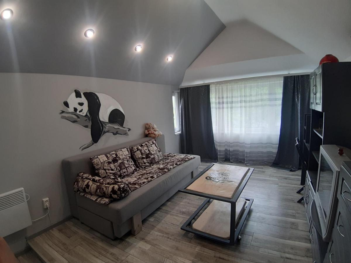 Barlig Apartamento Yaremche Exterior foto